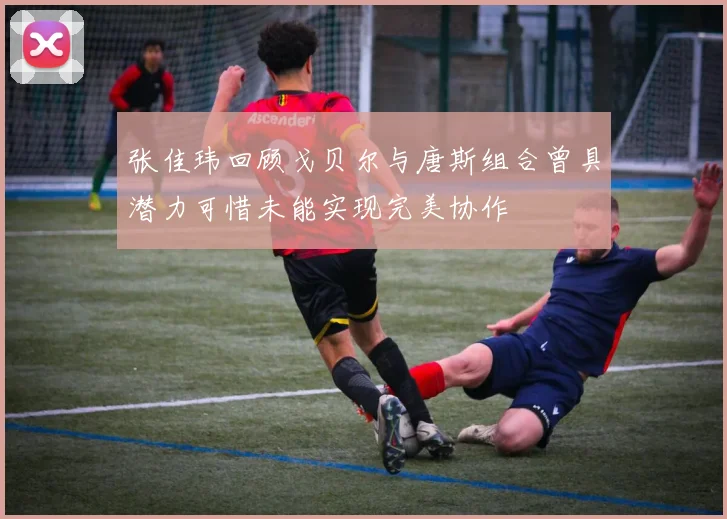 张佳玮回顾戈贝尔与唐斯组合曾具潜力可惜未能实现完美协作